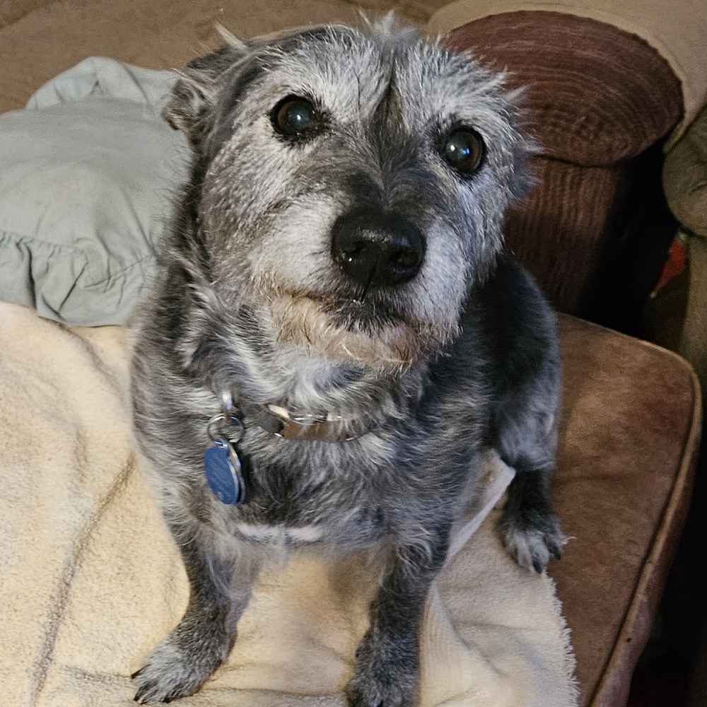 Meet your Posher, Wendy see our pictures - Picture 11 of 16